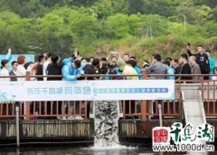 <b>“以鱼治水”护生态!50万尾鱼苗摇头晃脑游入千岛湖</b>