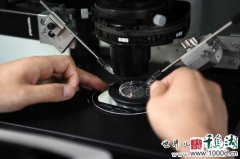 全球男性精子量告急,近50年数量降幅超60%,可能还会继续下降